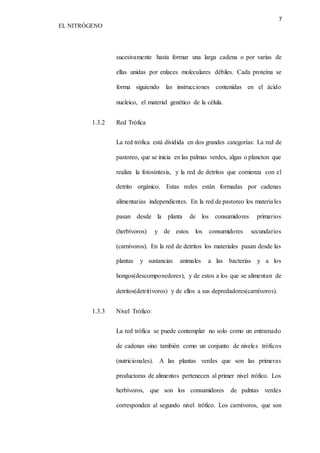 7 
EL NITRÓGENO 
sucesivamente hasta formar una larga cadena o por varias de 
ellas unidas por enlaces moleculares débiles. Cada proteína se 
forma siguiendo las instrucciones contenidas en el ácido 
nucleico, el material genético de la célula. 
1.3.2 Red Trófica 
La red trófica está dividida en dos grandes categorías: La red de 
pastoreo, que se inicia en las palmas verdes, algas o plancton que 
realiza la fotosíntesis, y la red de detritos que comienza con el 
detrito orgánico. Estas redes están formadas por cadenas 
alimentarias independientes. En la red de pastoreo los materia les 
pasan desde la planta de los consumidores primarios 
(herbívoros) y de estos los consumidores secundarios 
(carnívoros). En la red de detritos los materiales pasan desde las 
plantas y sustancias animales a las bacterias y a los 
hongos(descomponedores), y de estos a los que se alimentan de 
detritos(detritívoros) y de ellos a sus depredadores(carnívoros). 
1.3.3 Nivel Trófico: 
La red trófica se puede contemplar no solo como un entramado 
de cadenas sino también como un conjunto de niveles tróficos 
(nutricionales). A las plantas verdes que son las primeras 
productoras de alimentos pertenecen al primer nivel trófico. Los 
herbívoros, que son los consumidores de palntas verdes 
corresponden al segundo nivel trófico. Los carnívoros, que son 
 