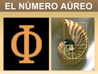 EL NÚMERO AÚREO
 