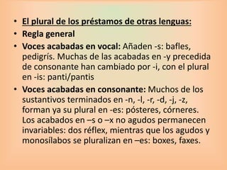 • El plural de los préstamos de otras lenguas:
• Regla general
• Voces acabadas en vocal: Añaden -s: bafles,
pedigrís. Muchas de las acabadas en -y precedida
de consonante han cambiado por -i, con el plural
en -is: panti/pantis
• Voces acabadas en consonante: Muchos de los
sustantivos terminados en -n, -l, -r, -d, -j, -z,
forman ya su plural en -es: pósteres, córneres.
Los acabados en –s o –x no agudos permanecen
invariables: dos réflex, mientras que los agudos y
monosílabos se pluralizan en –es: boxes, faxes.
 