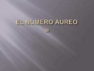 Elnmeroureo 101012125117-phpapp02