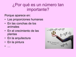 ¿Por qué es un número tan importante? Porque aparece en: Las proporciones humanas En las conchas de los animales En el crecimiento de las plantas En la arquitectura En la pintura … 