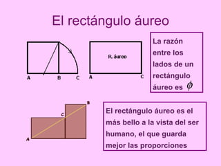 El rectángulo áureo La razón entre los lados de un rectángulo áureo es  El rectángulo áureo es el más bello a la vista del ser humano, el que guarda mejor las proporciones 