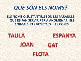 QUÈ SÓN ELS NOMS?
ELS NOMS O SUSTANTIUS SÓN LES PARAULES
QUE ES FAN SERVIR PER A ANOMENAR, ELS
ANIMALS, ELS VEGETALS I LES COSES.
 