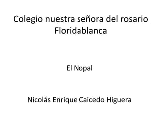 Colegio nuestra señora del rosario
          Floridablanca


              El Nopal


   Nicolás Enrique Caicedo Higuera
 
