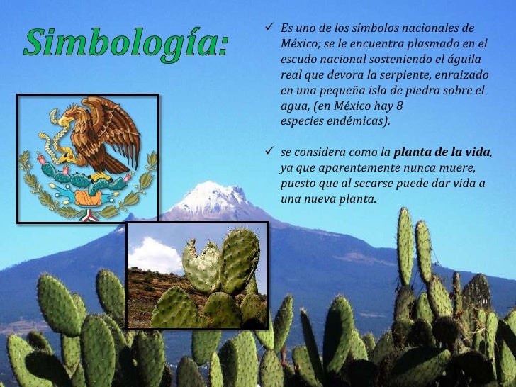 Que Significa El Nopal De La Bandera De México es.slideshare.net