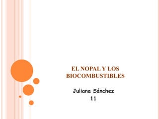 EL NOPAL Y LOS
BIOCOMBUSTIBLES

 Juliana Sánchez
        11
 
