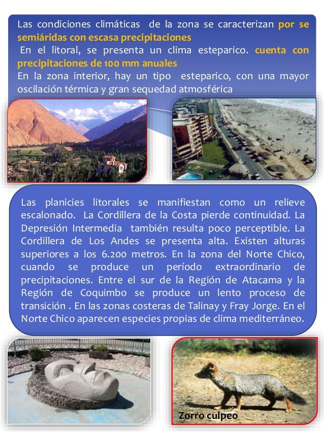 imoveis zona norte