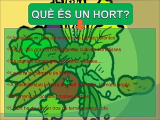 Un hort és un tros de terra on es planten plantes És un  lloc gran on els pagesos cultiven hortalisses Es planten tomàquets, enciams, patates,... La terra no sempre és bona A Castellbisbal la terra és molt vermella, té molta argila El terreny no pot tenir moltes pedres L’hort ha de ser un tros de terra que sigui pla 