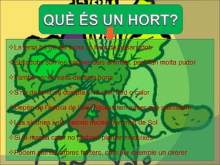  La terra ha de ser bona i li hem de posar adob  Els adobs són les caques dels animals, però fan molta pudor  També venen sacs de terra bona  S’ha de tenir en compte si fa molt fred o calor  Depèn de l’època de l’any necessitem saber què plantarem  Les síndries i els melons necessiten molt de Sol  Si fa massa calor no podrem plantar maduixes   Podem plantar arbres fruiters, com per exemple un cirerer 