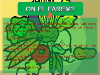  Era bastant pla, però estava ple de pedretes petites. Vam provar de netejar un trosset i treure les pedretes, per veure què hi havia a sota. Hi havia terra però molt dura.  Li tocava el Sol  No teníem presa d’aigua, però aniríem amb regadores i les ompliríem amb aigua de la font  Ens vam situar i vam observar per on sortia el Sol i si era un bon lloc. L’orientació era bona.  Finalment vam decidir el lloc 