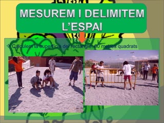 Calculem la superfície del rectangle: 60 metres quadrats 