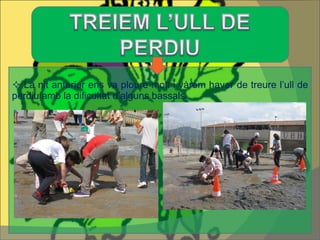 La nit anterior ens va ploure molt i vàrem haver de treure l’ull de perdiu amb la dificultat d’alguns bassals. 