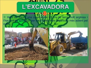 Hem de treure una capa d’uns 40 cm de terra molt argilosa i l’haurem de substituir per terra bona, més orgànica i més adient pel cultiu.  