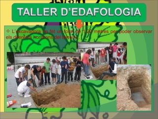 L’excavadora ha fet un forat de 1,20 metres per poder observar els diferents horitzons del terreny . 