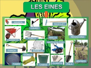 AIXADA RASCLET REGADORA CARRETÓ FORCA FANGA PALA MÀNEGA GUANTS TAMÍS CORDA MALLA ASPRES CABÀS MOTOCULTOR CÀVEC 