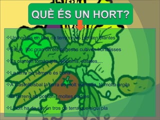 Un hort és un tros de terra on es planten plantes És un  lloc gran on els pagesos cultiven hortalisses Es planten tomàquets, enciams, patates,... La terra no sempre és bona A Castellbisbal la terra és molt vermella, té molta argila El terreny no pot tenir moltes pedres L’hort ha de ser un tros de terra que sigui pla 