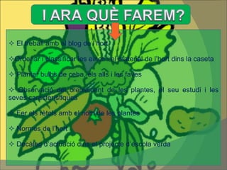 El treball amb el blog de l’hort  Ordenar i classificar les eines i el material de l’hort dins la caseta Plantar bulbs de ceba, els alls i les faves Observació del creixement de les plantes, el seu estudi i les seves característiques  Fer els rètols amb el nom de les plantes Normes de l’hort Decàleg d’actuació dins el projecte d’escola verda 
