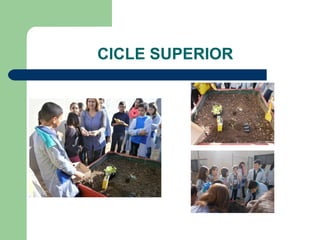 CICLE SUPERIOR