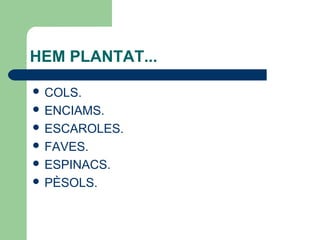 HEM PLANTAT...
COLS.
ENCIAMS.
ESCAROLES.
FAVES.
ESPINACS.
PÈSOLS.
