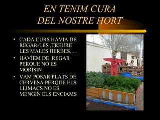 EN TENIM CURA
DEL NOSTRE HORT
• CADA CURS HAVIA DE
REGAR-LES ,TREURE
LES MALES HERBES. . .
• HAVÍEM DE REGAR
PERQUE NO ES
MORISIN
• VAM POSAR PLATS DE
CERVESA PERQUÈ ELS
LLIMACS NO ES
MENGIN ELS ENCIAMS
 