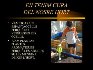 EN TENIM CURA
DEL NOSRE HORT
• VAM FICAR UN
ESPANTAOCELLS
PERQUÈ NO
VINGUESSIN ELS
OCELLS.
• VAM PLANTAR
PLANTES
AROMÀTIQUES
PERQUÈ LES ABELLES
SE LES MENGIN I
DEIXIN L’HORT.
 