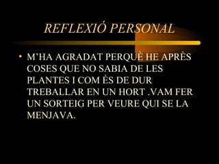 REFLEXIÓ PERSONAL
• M’HA AGRADAT PERQUÈ HE APRÈS
COSES QUE NO SABIA DE LES
PLANTES I COM ÉS DE DUR
TREBALLAR EN UN HORT .VAM FER
UN SORTEIG PER VEURE QUI SE LA
MENJAVA.
 