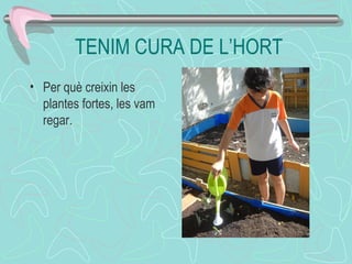 TENIM CURA DE L’HORT
• Per què creixin les
plantes fortes, les vam
regar.
 