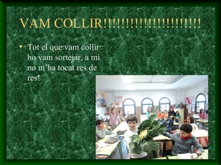 VAM COLLIR!!!!!!!!!!!!!!!!!!!!!!
• Tot el que vam collir
ho vam sortejar, a mi
no m’ha tocat res de
res!
 