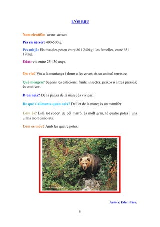 L’ÓS BRU


Nom científic: ursus arctos.
Pes en néixer: 400-500 g.

Pes mitjà: Els mascles pesen entre 80 i 240kg i les femelles, entre 65 i
170kg.

Edat: viu entre 25 i 30 anys.


On viu? Viu a la muntanya i dorm a les coves; és un animal terrestre.

Què mengen? Segons les estacions: fruits, insectes, peixos o altres presses;
és omnívor.

D’on neix? De la panxa de la mare; és vivípar.

De què s’alimenta quan neix? De llet de la mare; és un mamífer.

Com és? Està tot cobert de pèl marró, és molt gran, té quatre potes i uns
ullals molt esmolats.

Com es mou? Amb les quatre potes.




                                                          Autors: Eder i Iker.

                                      8
 