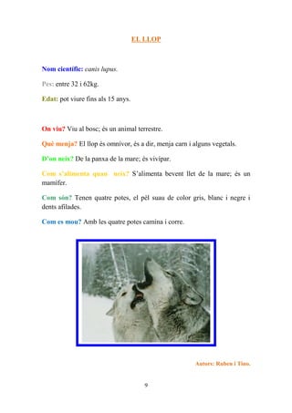 EL LLOP



Nom científic: canis lupus.

Pes: entre 32 i 62kg.

Edat: pot viure fins als 15 anys.



On viu? Viu al bosc; és un animal terrestre.

Què menja? El llop és omnívor, és a dir, menja carn i alguns vegetals.

D’on neix? De la panxa de la mare; és vivípar.

Com s’alimenta quan neix? S’alimenta bevent llet de la mare; és un
mamífer.

Com són? Tenen quatre potes, el pèl suau de color gris, blanc i negre i
dents afilades.

Com es mou? Amb les quatre potes camina i corre.




                                                       Autors: Ruben i Tino.


                                       9
 