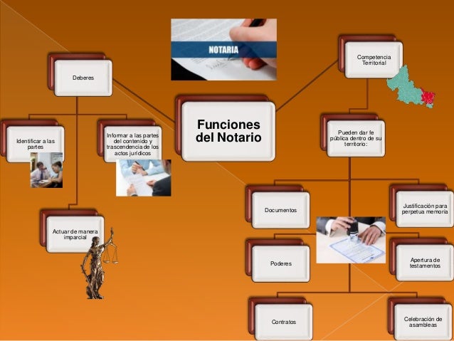 Cuales Son Las Funciones Del Notario Publico