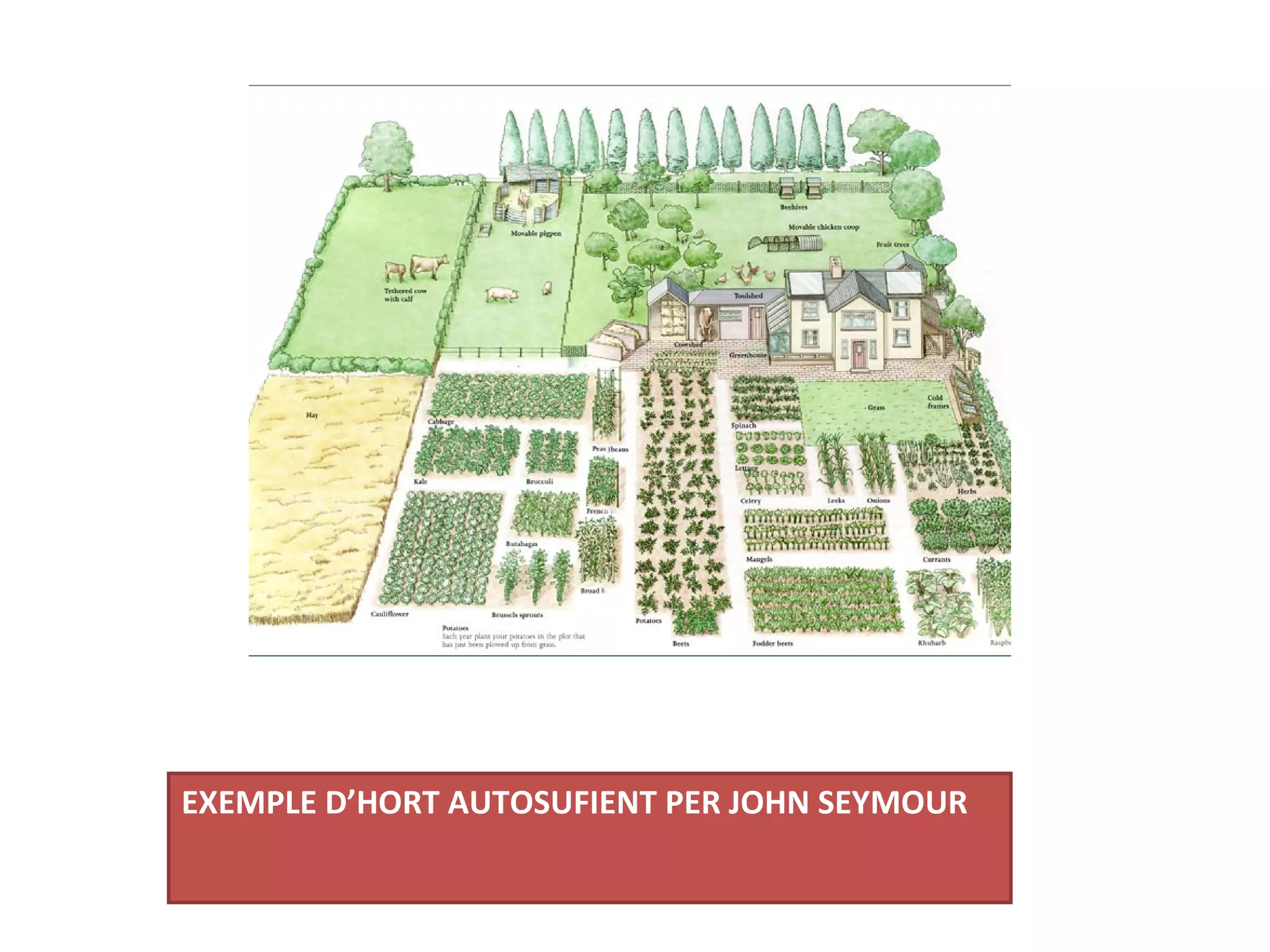 EXEMPLE D’HORT AUTOSUFIENT PER JOHN SEYMOUR
 