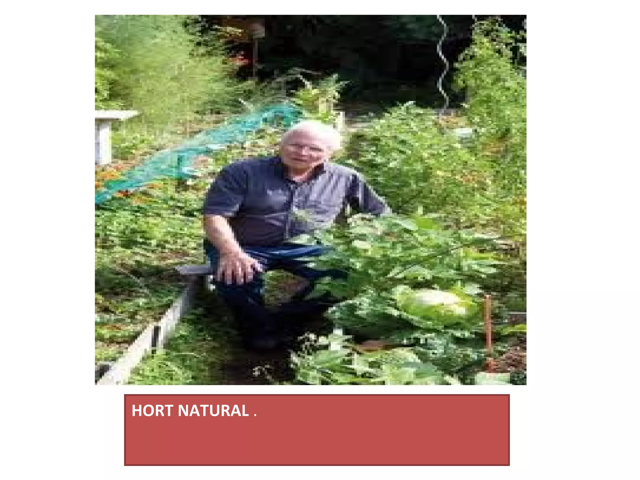 HORT NATURAL .
 