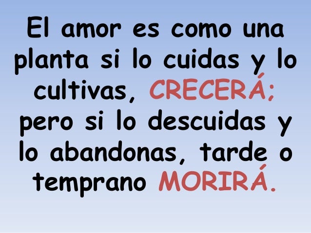 A Devocional Pan De Vida Cuidando El Amor Cantar De Los Cantares 3
