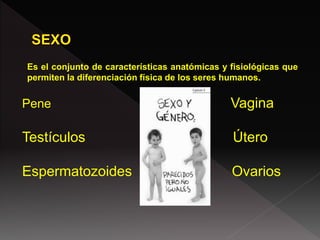 Es el conjunto de características anatómicas y fisiológicas que
permiten la diferenciación física de los seres humanos.
Pene Vagina
Testículos Útero
Espermatozoides Ovarios
 