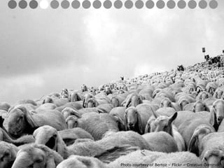 Photo courtesy of Bertoz – Flickr – Creative Commons 