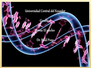 Universidad Central del Ecuador
Genética
Tema: El núcleo
Dr. Raúl Pozo
 
