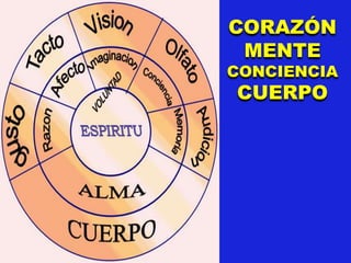 CORAZÓN
MENTE
CONCIENCIA
CUERPO
 