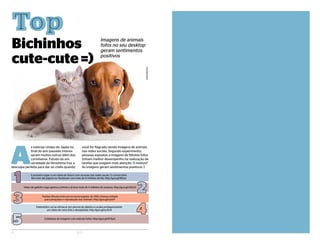 A
s notícias vindas do Japão no
final do ano passado interes-
saram muitos outros além dos
corintianos. Estudo da uni-
versidade de Hiroshima traz a
desculpa perfeita para dar ao chefe quando
você for flagrado vendo imagens de animais
nas redes sociais. Segundo experimento,
pessoas expostas a imagens de filhotes fofos
tinham melhor desempenho na realização de
tarefas que exigiam mais atenção. O motivo?
As imagens geram sentimentos positivos ;)
1
2
3
4
5
O primeiro lugar é um misto de fofura com sucesso nas redes socais. O cachorrinho
Boo tem até página no Facebook com mais de 6 milhões de fãs: http://goo.gl/fB3za
Vídeo de gatinho cego ganhou prêmio e já teve mais de 4 milhões de acessos: http://goo.gl/vDUU1
Pandas filhotes brincam no escorregador de ONG chinesa voltada
para pesquisas e reprodução dos animais: http://goo.gl/x2wfY
Elefantinho vai se refrescar em piscina de plástico e acaba protagonizando
um misto de cena fofa e desajeitada: http://goo.gl/ucXU4
Coletânea de imagens com animais fofos: http://goo.gl/ATXpU
Bichinhos
cute-cute =)
TopT o p
8 ELO
Depositphotos
Imagens de animais
fofos no seu desktop
geram sentimentos
positivos
 
