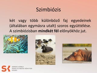 Szimbiózis
két vagy több különböző faj egyedeinek
(általában egymásra utalt) szoros együttélése.
A szimbiózisban mindkét fél előnyökhöz jut.
 