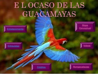 E L OCASO DE LAS
        GUACAMAYAS
                                   Mapa
Entretenimiento                  Conceptual




Entrevistas                         Videos




                  Créditos   Rompecabezas
 