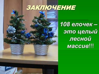 ЗАКЛЮЧЕНИЕ

      108 елочек –
       это целый
         лесной
        массив!!!
 