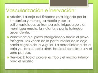 Vascularización e inervación:
 Arterias:

La caja del tímpano esta irrigada por la
timpánica y meningea media y por la
estilomastoidea. La trompa esta irrigada por: la
meningea media, la vidiana, y por la faringea
ascendente.
 Venas hacia el plexo pterigoideo y hacia el plexo
faríngeo. Las venas de la parte inferior de la caja
hacia el golfo de la yugular. La pared interna de la
caja y el antro hacia atrás, hacia el seno lateral y el
seno petroso.
 Nervios: El facial para el estribo y el maxilar inferior
para el martillo.

 