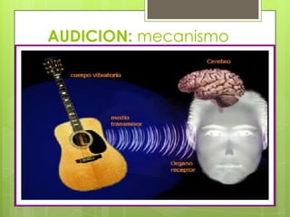 AUDICION: mecanismo

 