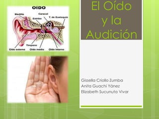 El Oído
y la
Audición

Gissella Criollo Zumba
Anita Guachi Yánez
Elizabeth Sucunuta Vivar

 