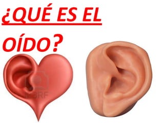 ¿QUÉ ES EL
OÍDO?
 