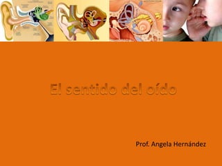 El sentido del oído Prof. Angela Hernández 