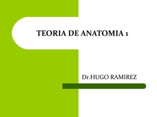 TEORIA DE ANATOMIA 1
Dr.HUGO RAMIREZ
 