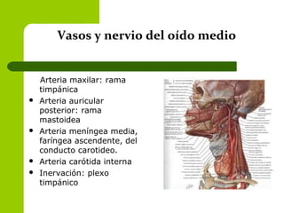 Vasos y nervio del oído medio
Arteria maxilar: rama
timpánica
 Arteria auricular
posterior: rama
mastoidea
 Arteria meníngea media,
faríngea ascendente, del
conducto carotideo.
 Arteria carótida interna
 Inervación: plexo
timpánico
 