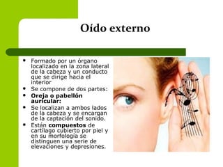 Oído externo
 Formado por un órgano
localizado en la zona lateral
de la cabeza y un conducto
que se dirige hacia el
interior
 Se compone de dos partes:
 Oreja o pabellón
auricular:
 Se localizan a ambos lados
de la cabeza y se encargan
de la captación del sonido.
 Están compuestos de
cartílago cubierto por piel y
en su morfología se
distinguen una serie de
elevaciones y depresiones.
 